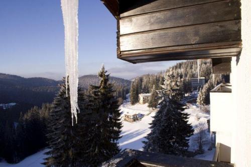 Snezhanka Apartments TMF Pamporovo Buitenkant foto
